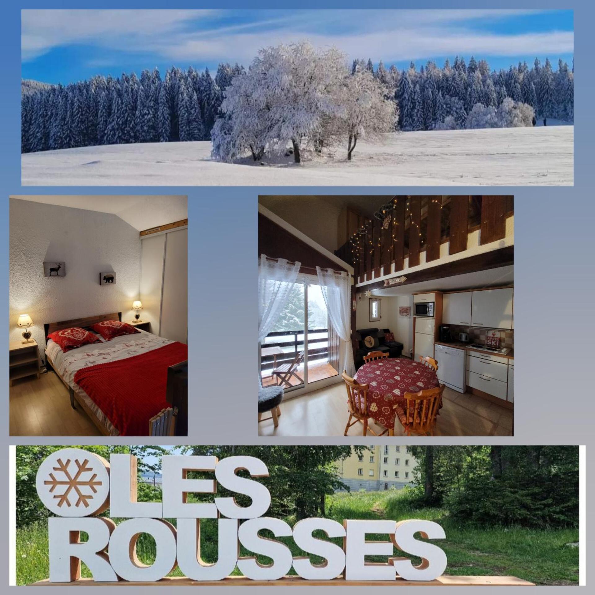 Le Duplex, Superbe Cocon Au Coeur Des Rousses, Tout Confort 5 Pers, Draps Inclus Les Rousses Buitenkant foto